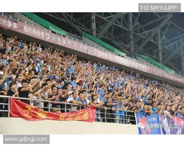 丽江飞虎迎战保定队期待精彩对决与球迷激情共鸣