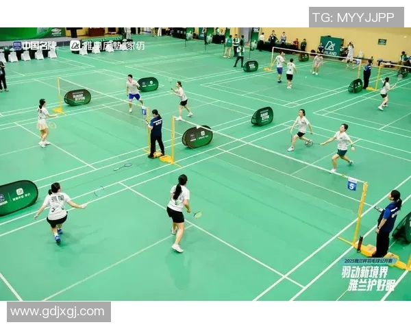 深圳羽毛球队整体压制现象分析及其对赛事的影响探讨