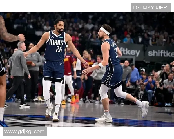 独行侠与掘金精彩对决回放全景解析与赛后点评